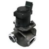 FISPA 83.613 EGR Valve